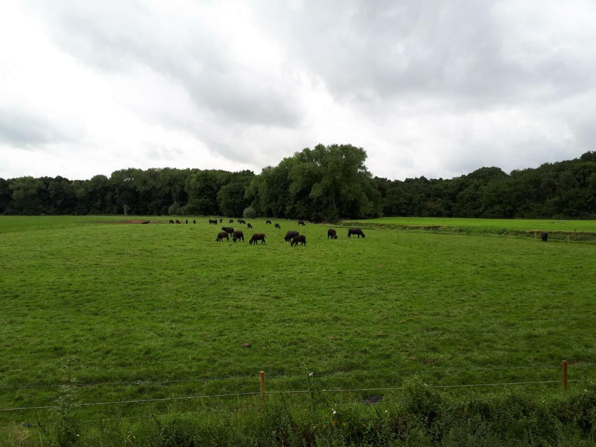Gastenverblijf 'T Nagtegaeltje Sint-Oedenrode エクステリア 写真