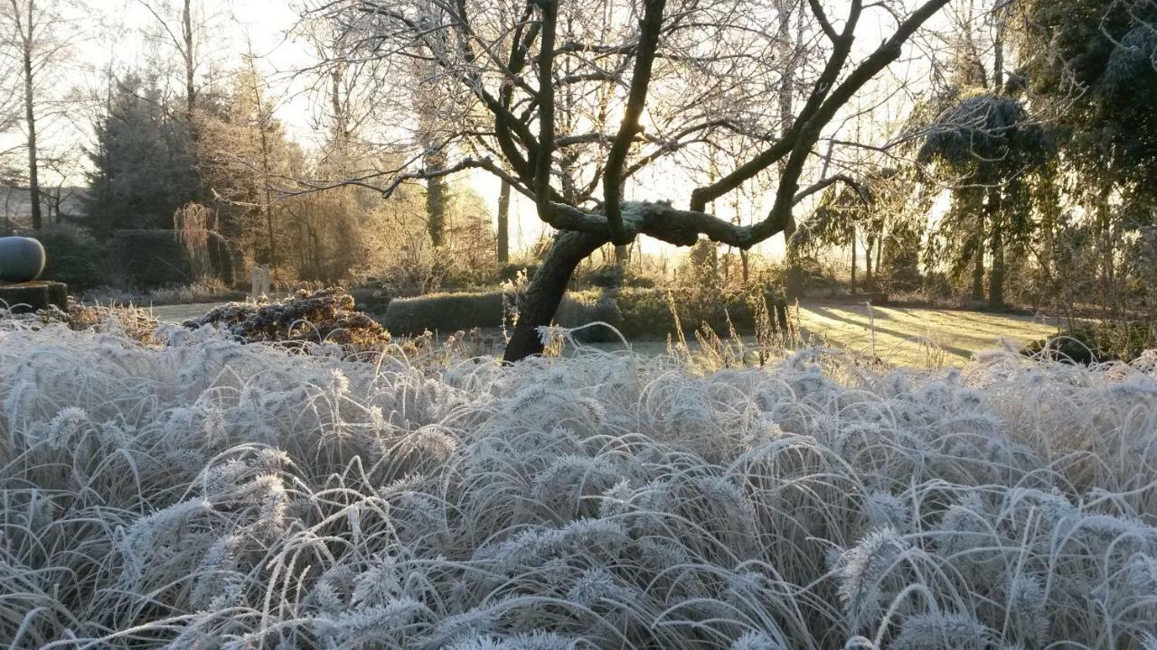 Gastenverblijf 'T Nagtegaeltje Sint-Oedenrode エクステリア 写真